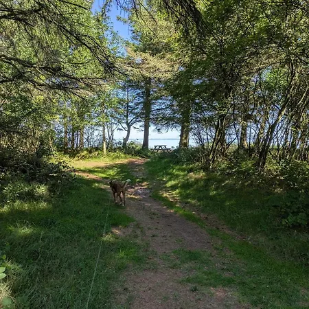 Prázdninový dům 6 Person In